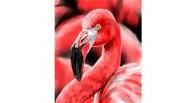 Drawing of Flamingo by Randi