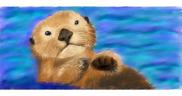 Drawing of Otter by Sara - Drawize Gallery!