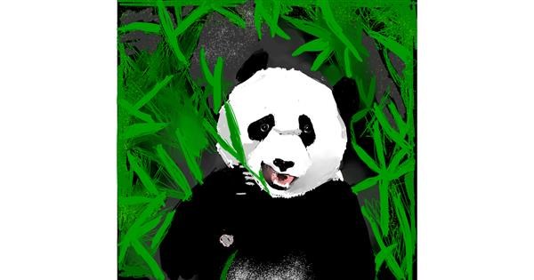 Panda Drawing Gallery And How To Draw Videos