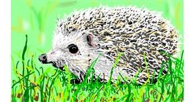 Drawing of Hedgehog by flowerpot