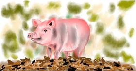 Drawing of Pig by Eclat de Lune