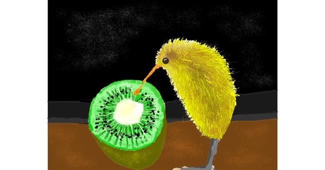 Drawing of Kiwi fruit by Kiwi