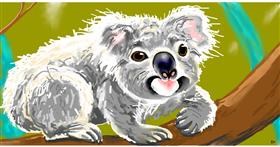 Drawing of Koala by Swimmer 