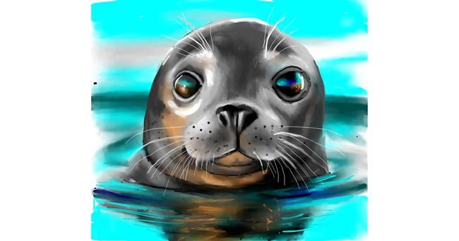 Drawing of Seal by Randi