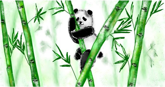 Drawing of Bamboo by Eclat de Lune