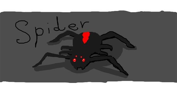 Spider Drawing By Ila Playz Roblox Draw And Guess Gallery - spider duck roblox