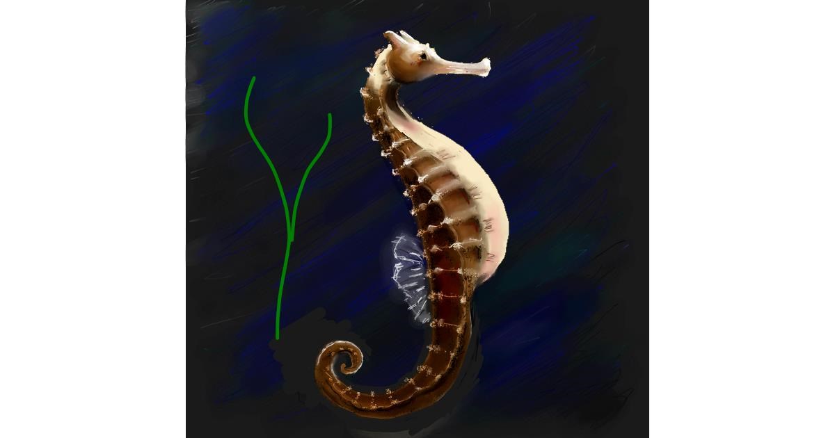 Drawing Of Seahorse By Andromeda - Drawize Gallery!