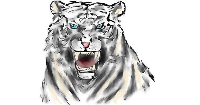 Drawing of Tiger by Eclat de Lune