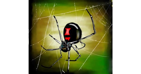 Spider Drawing Gallery And How To Draw Videos - spider web roblox