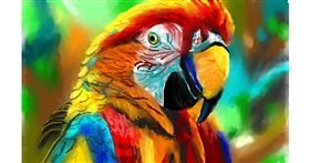 Drawing of Parrot by Herbert