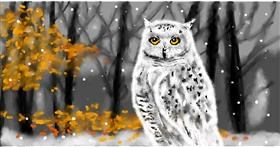 Drawing of Owl by Eclat de Lune