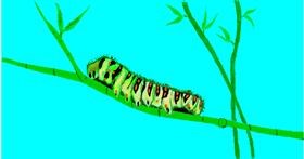 Drawing of Caterpillar by Andy