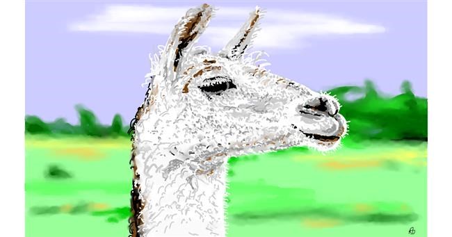 Drawing of Llama by flowerpot