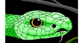 Drawing of Snake by flowerpot