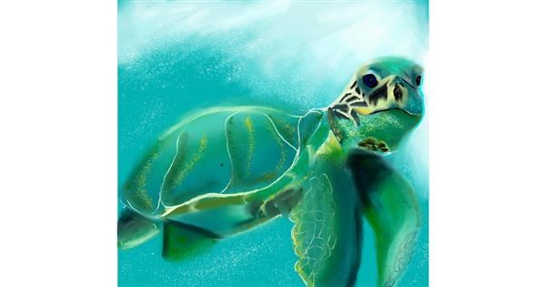 Drawing of Sea turtle by Kathy - Drawize Gallery!