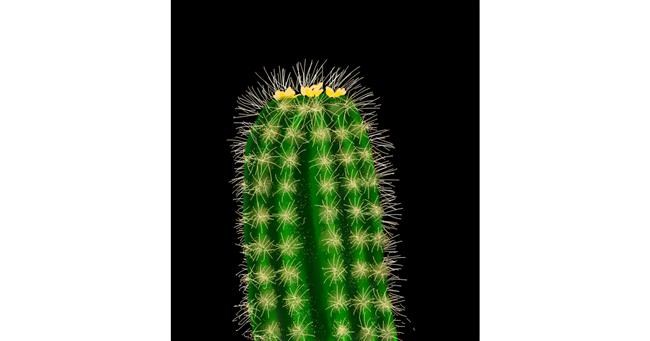 Drawing of Cactus by TedsNan