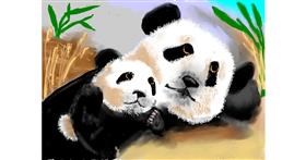 Panda - autor: SAM AKA MARGARET 🙄