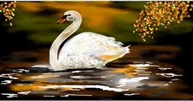 Drawing of Swan by Eclat de Lune
