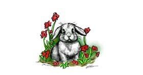 Drawing of Bunny by emrys