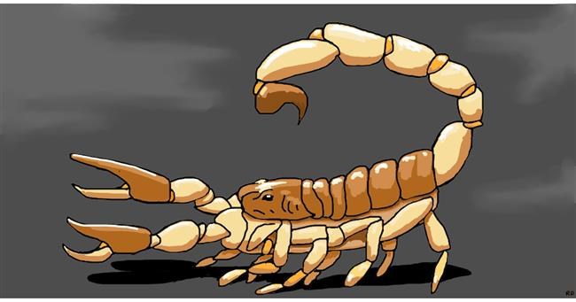 Drawing of Scorpion by Swimmer 