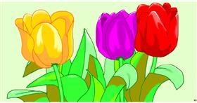 Drawing of Tulips by Swimmer 