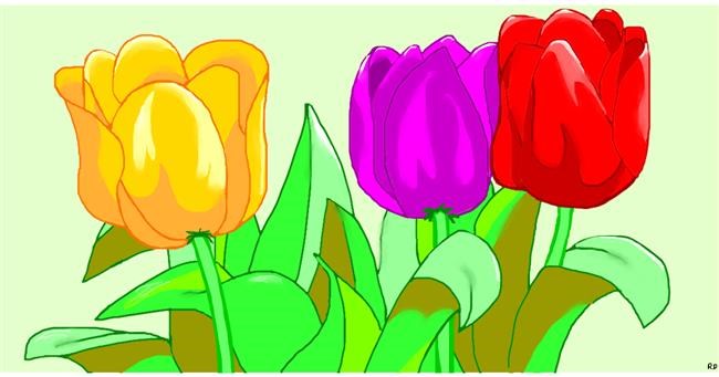 Drawing of Tulips by Swimmer 