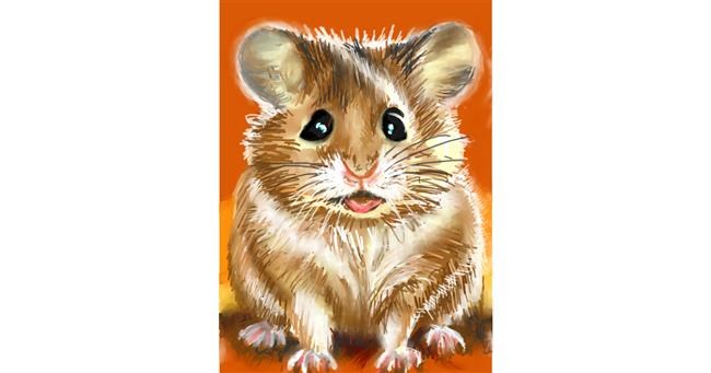 Drawing of Hamster by ⋆su⋆vinci彡