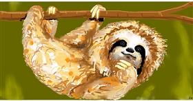 Drawing of Sloth by Swimmer 