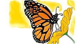 Drawing of Butterfly by Jana