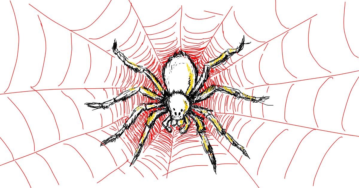 Drawing of Spider by kossara Drawize Gallery!