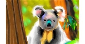Drawing of Koala by Herbert